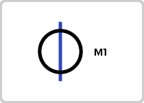 M1