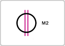 M2
